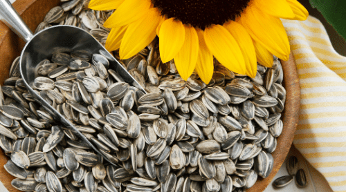 sunflower seeds iron rich featured