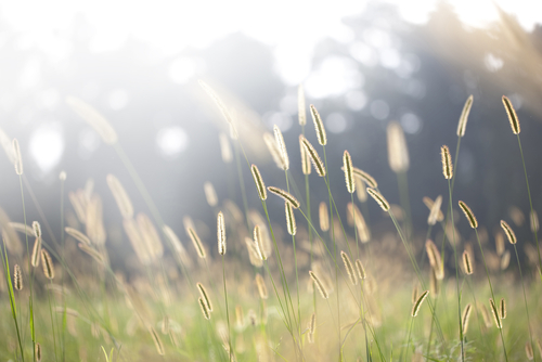 detoxify the body to slow the aging process detoxify the body to slow the aging process
