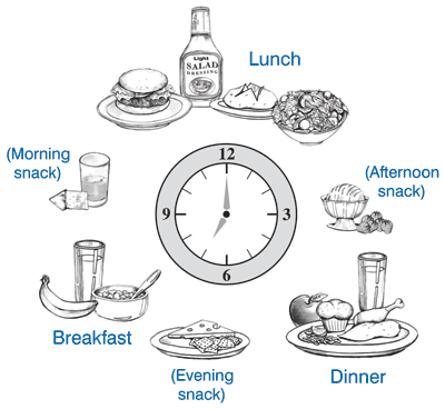 6 meals a day for metabolism