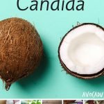 10 Foods That Kill Candida | quickcreativityclubusa.com