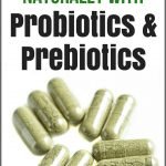 How to Lose Weight Naturally with Probiotics & Prebiotics | quickcreativityclubusa.com