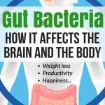 How Gut Bacteria Affects the Body and the Brain | Weight Loss | quickcreativityclubusa.com