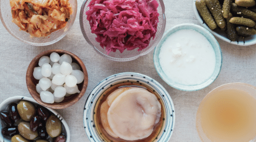 fermented and probiotic rich foods to heal your leaky gut featured