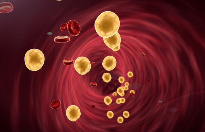 cholesterol in the blood stream