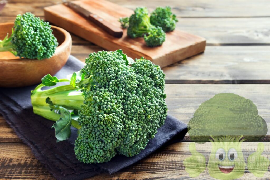 17 Fat Burning Foods You Need in Your Diet broccoli