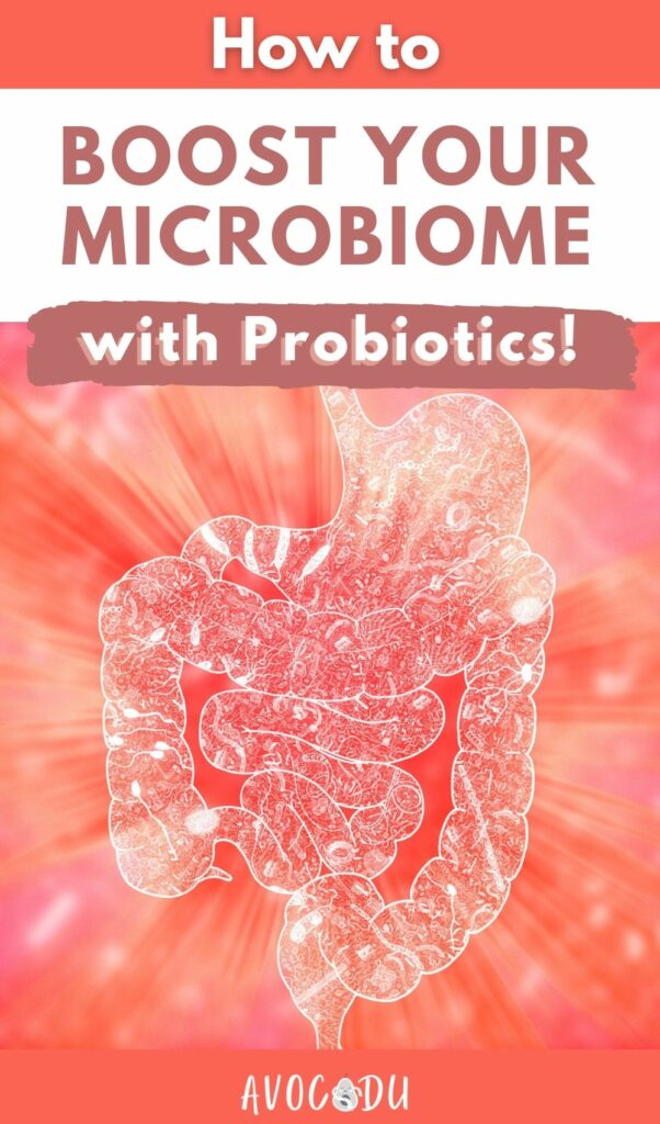 Balancing Your Microbiome with Probiotics - Pin 2