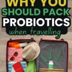 Traveling? Here’s Why You Need to Pack a Probiotic