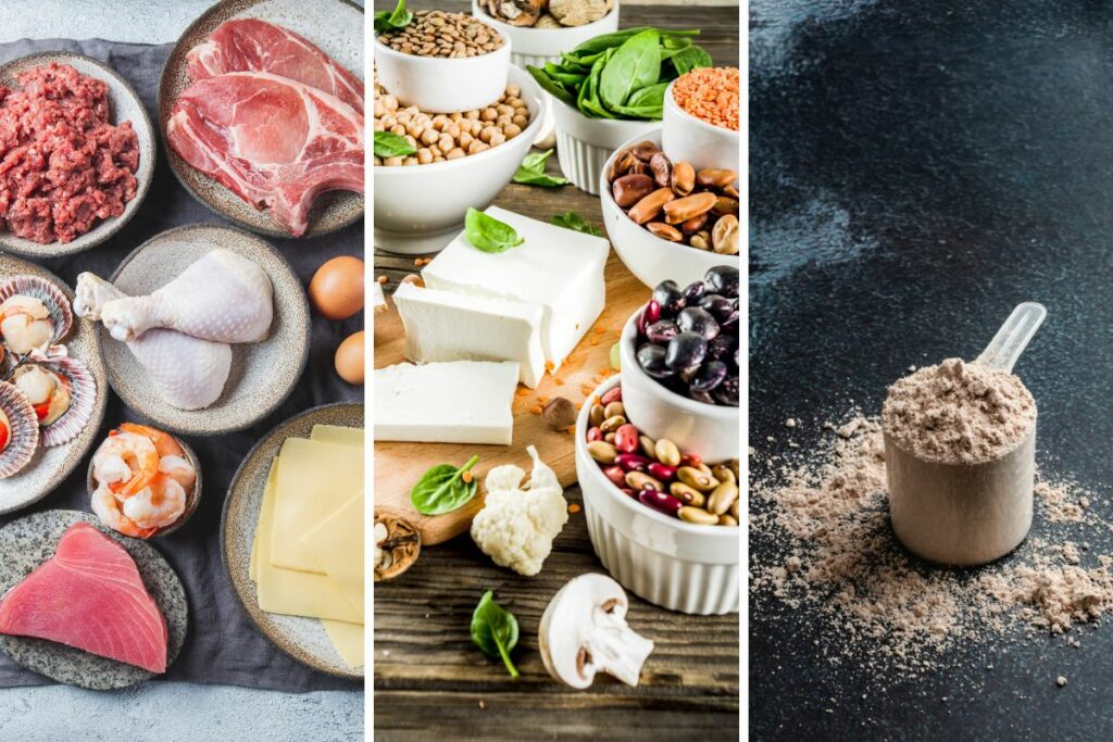 Why You NEED to Prioritize Protein in Your Diet sources of protein