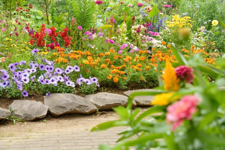 13 Perfect Plants to Support Pollinators in Your Summer Garden