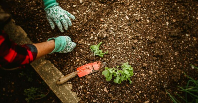 13 Gardening Mistakes Every Beginner Should Avoid